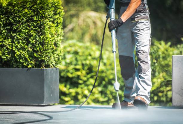 Best Solar Panel Cleaning  in Clarkesville, GA