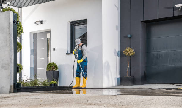 Best Dumpster Area Cleaning  in Clarkesville, GA